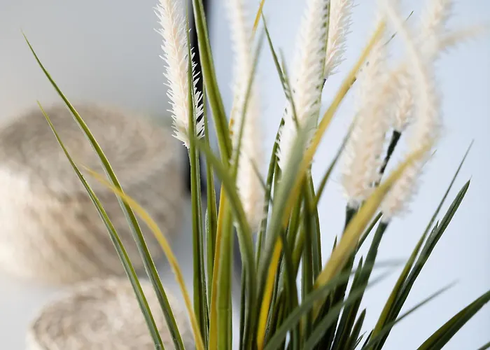 Blue Z Balkonem By Renters Łódź